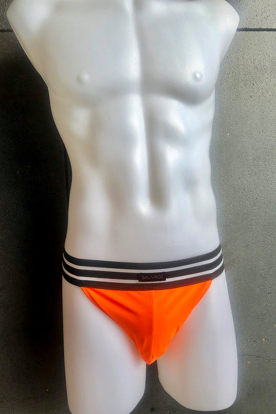 Sheer Stripe Brief - Multiple Colors - Sauvage
