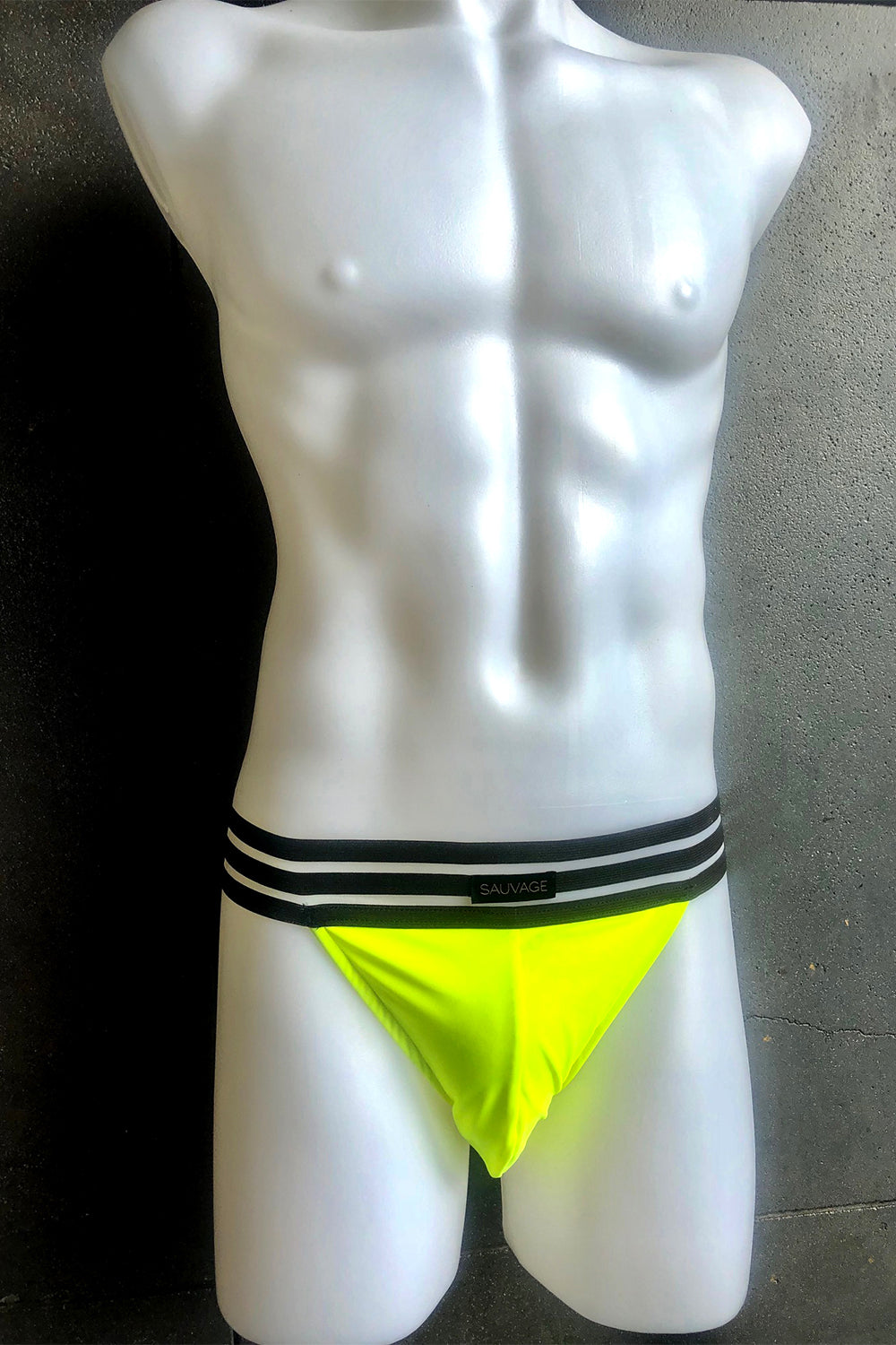 Sheer Stripe Brief - Multiple Colors - Sauvage