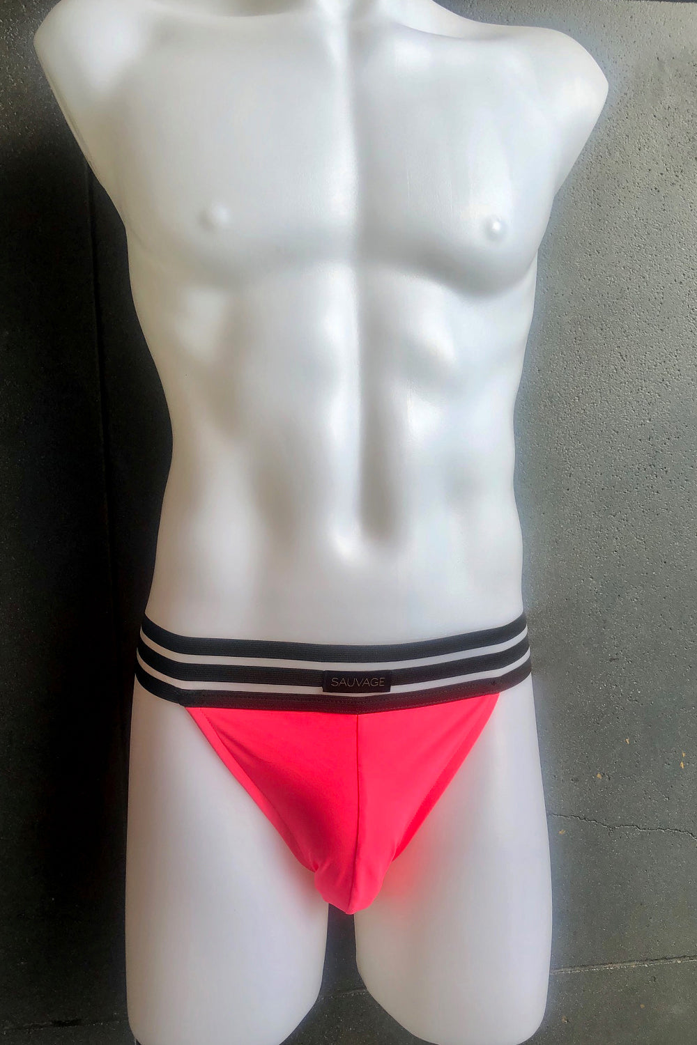 Sheer Stripe Brief - Multiple Colors - Sauvage
