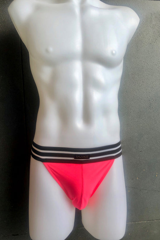 Sheer Stripe Brief - Multiple Colors - Sauvage